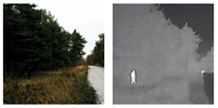 Axis Thermal Cameras on complex backgrounds Thermal cameras detect thermal radiation from people, even when they are obscured by complex backgrounds, or trying to hide in shadows.